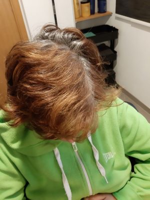 Před
